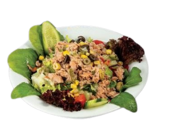 TON BALIKLI SALATA